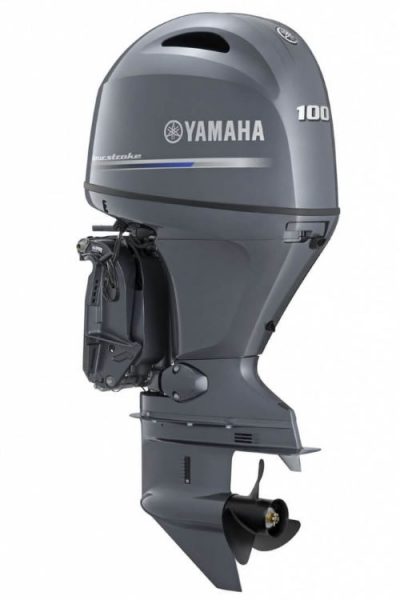 Yamaha F 100 FETL