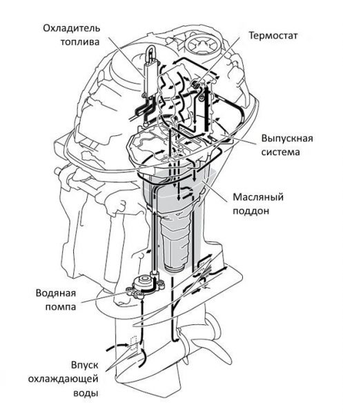 Схема охлаждения лодочного мотора меркурий 5